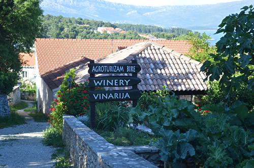 Bire winery