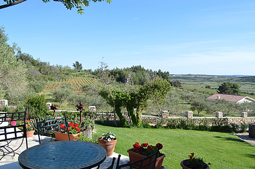 Boškinac terrace overlooking the vineyards