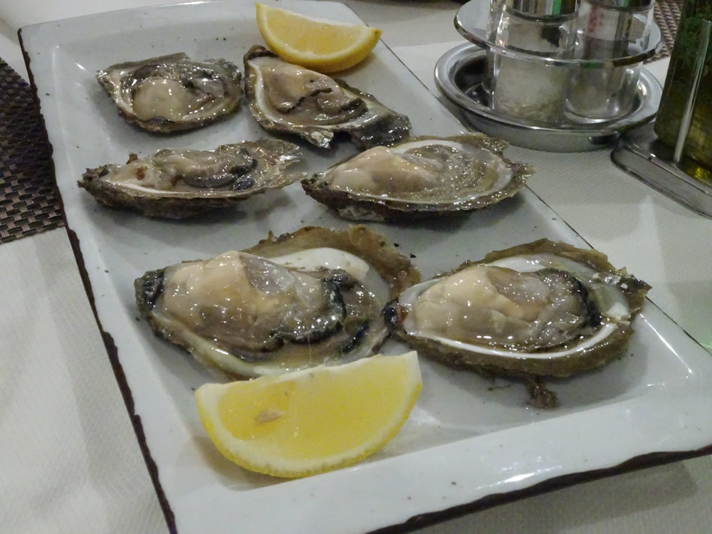 Oysters!